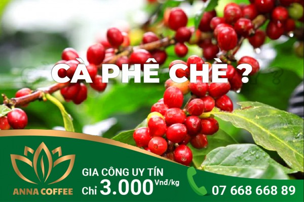 BẠN ĐÃ TỪNG NGHE QUA CÀ PHÊ CHÈ?